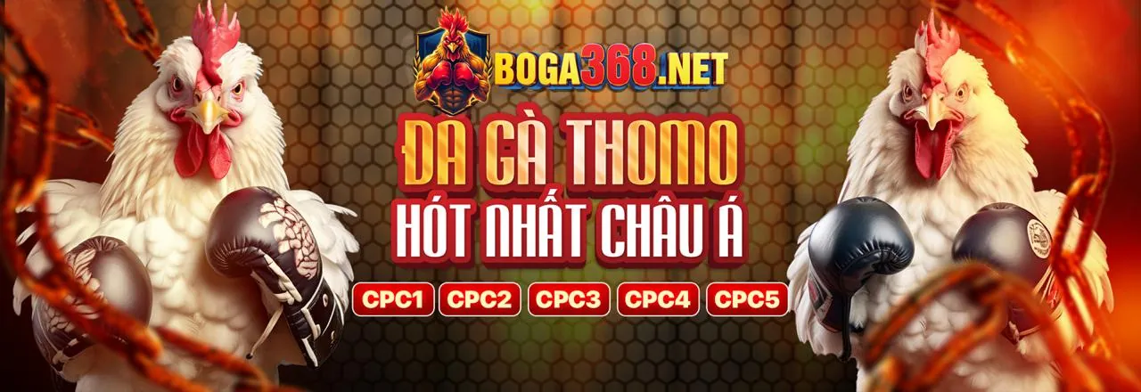 Đá Gà Trực Tuyến Hấp Dẫn tại man79 nhà cái